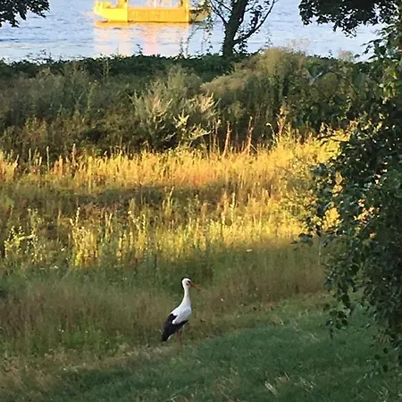 Schmuckkaestle Am Hafen Appartamento Wiesbaden